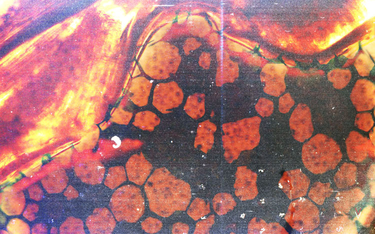 Valleys in the Vinyl noisy microscopic Wallpaper