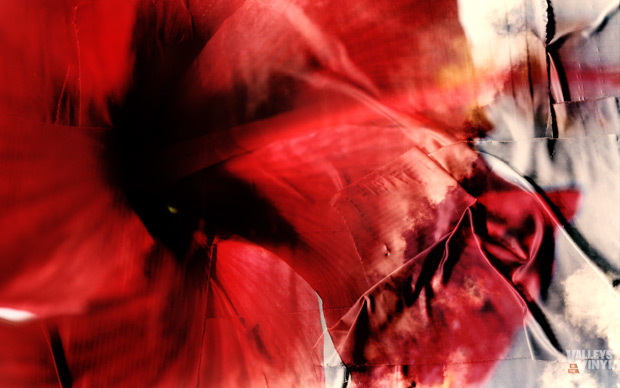 Valleys in the Vinyl Flower Wallpaper 02