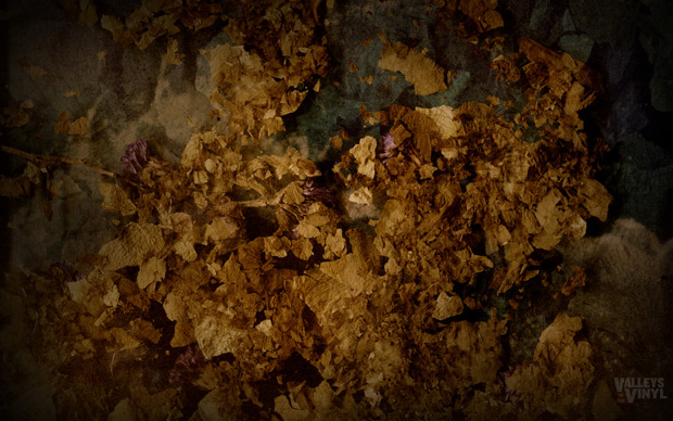 Valleys in the Vinyl Leaves Wallpaper
